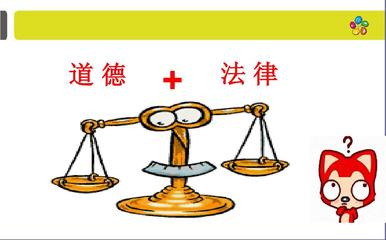 职业道德与法律 构建专业行为的双支柱