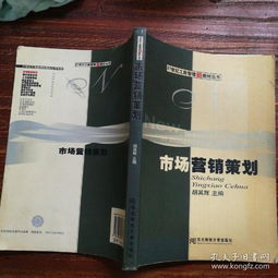 市场营销策划 系统构建与高效执行指南