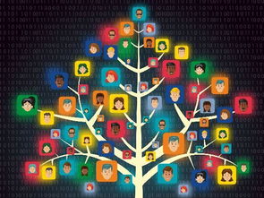 网络营销策划 如何根据岗位职级精准赋能与分工